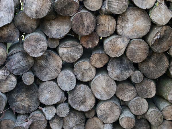 wooden logs texture