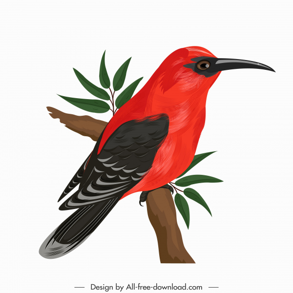 woodpecker bird icon colorful perching sketch
