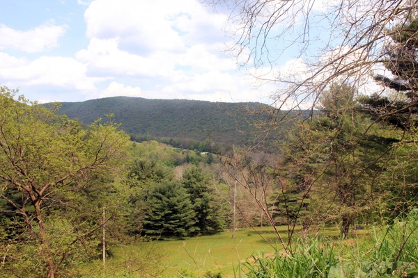 woods and hills sinnemahoning state park pennsylvania 