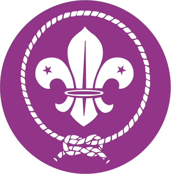 world scout movement