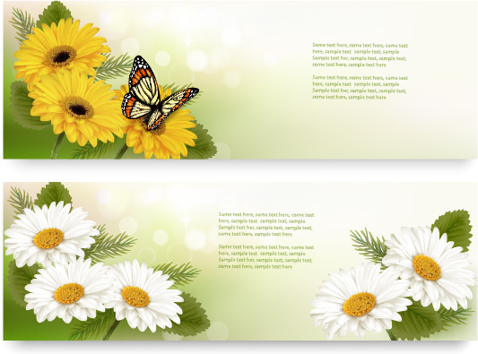 yellow and white flower banner with butterfly vector