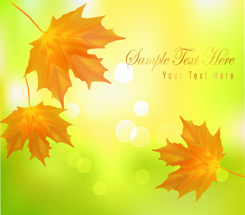 yellow autumn leaves vector backgrounds set