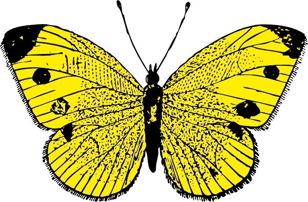 Yellow Butterfly clip art 