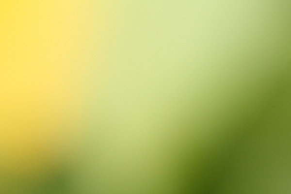 yellow green blur background