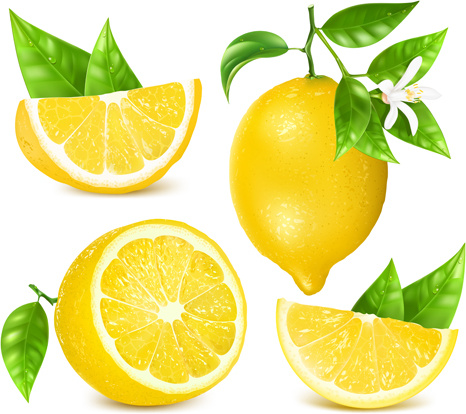 yellow lemon vector