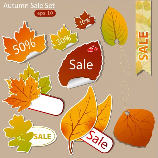 autumn sale labels flat leaves shapes sketch