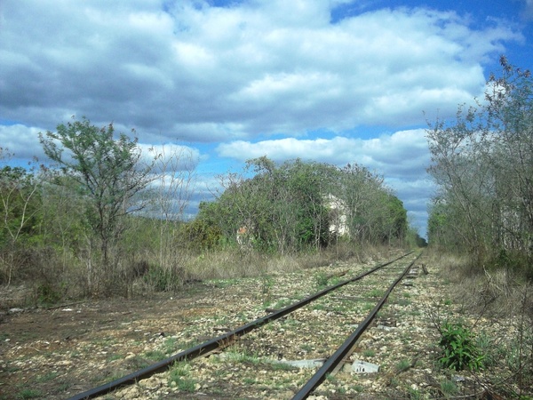 yucatan mexico landscape 