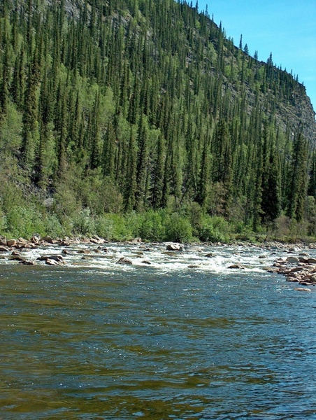 yukon river alaska landscape