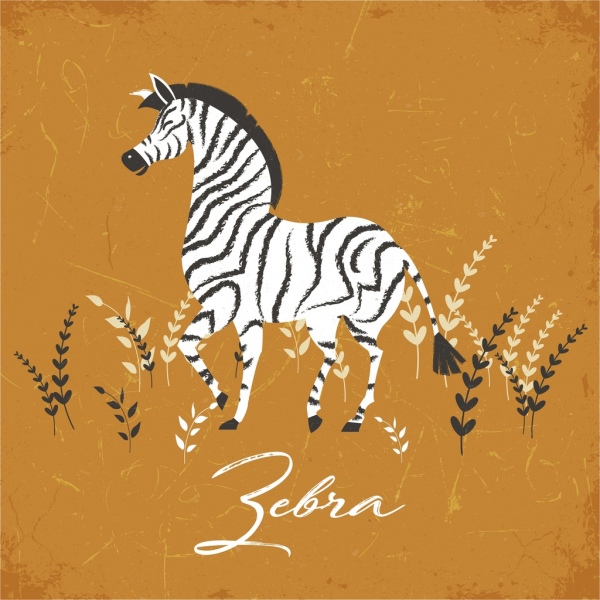 zebra drawing classical colored design