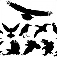 Vector Birds Silhouettes Free vector in Adobe Illustrator ai ( .ai ...