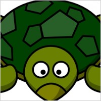 Dancing Turtle Cartoon