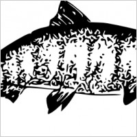 Salmon clip art Free vector in Open office drawing svg ( .svg ) format ...