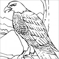 Free eagle clip art Free vector for free download about (70) Free ...