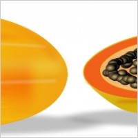 Papaya Free vector for free download about (18) Free vector in ai, eps ...