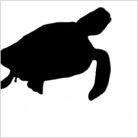 Green Sea Turtle clip art Free vector in Open office drawing svg ( .svg ...