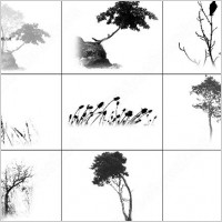 60 photoshop 7 tree branches brush photoshop brushes in Photoshop ...