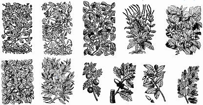 Black And White Leaf Pattern Free Vector Download 34 526 Free Vector For Commercial Use Format Ai Eps Cdr Svg Vector Illustration Graphic Art Design