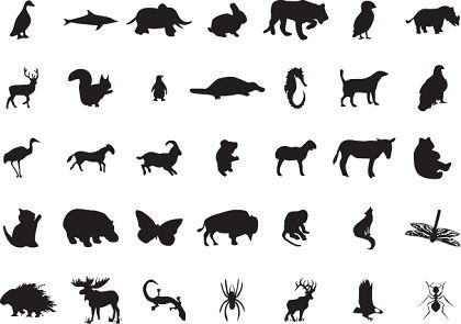 Download Wild Animal Clip Art Free Vector Download 226 599 Free Vector For Commercial Use Format Ai Eps Cdr Svg Vector Illustration Graphic Art Design