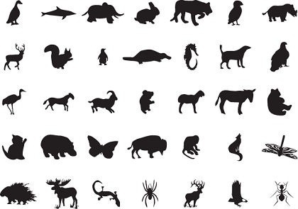 Download Wild Animal Clip Art Free Vector Download 226 888 Free Vector For Commercial Use Format Ai Eps Cdr Svg Vector Illustration Graphic Art Design