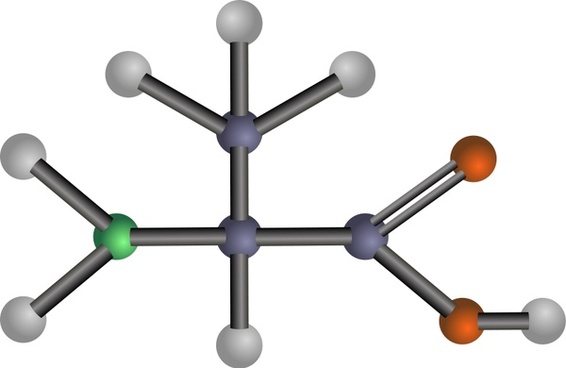 download free amino acid structure download free amino acid structure