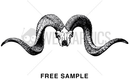 Download Vector Animal Skull Bull Free Vector Download 10 657 Free Vector For Commercial Use Format Ai Eps Cdr Svg Vector Illustration Graphic Art Design Sort By Relevant First