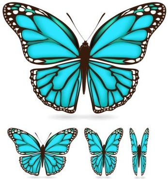 Side Butterfly Wings Clipart, Butterfly Wings Png Image With