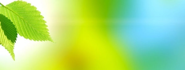 Featured image of post Beautiful Green Background Hd Wallpaper In this abstract collection we have 20 wallpapers
