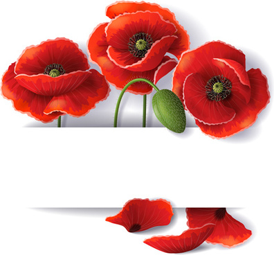 33+ Poppy Flower Svg Free Gif Free SVG files | Silhouette and Cricut