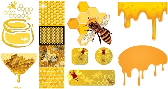 Free Bee Honeycomb Svg SVG PNG EPS DXF File