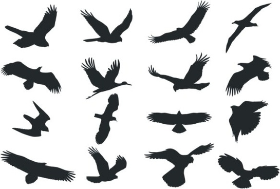 Download Bird Silhouette Free Vector Download 8 709 Free Vector For Commercial Use Format Ai Eps Cdr Svg Vector Illustration Graphic Art Design