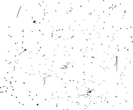 Speckle free vector download (18 Free vector) for commercial use