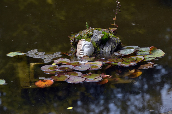 Vector map Golden Gate Park San Francisco