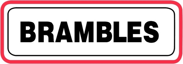 download bramble steam