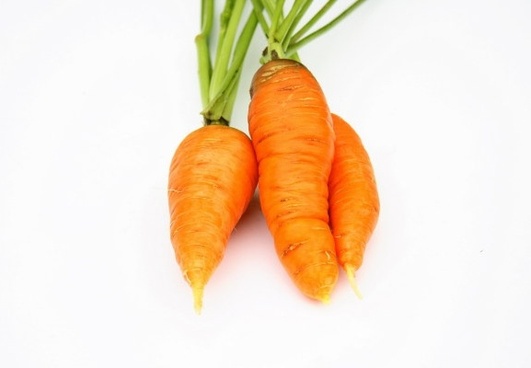 Carrots free stock photos download (87 Free stock photos) for ...