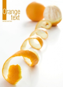 Download 440 Background Orange Fruit Hd Gratis Terbaru