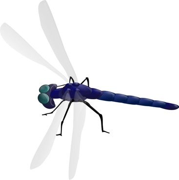 Download Dragonfly Svg Free Vector Download 85 115 Free Vector For Commercial Use Format Ai Eps Cdr Svg Vector Illustration Graphic Art Design Sort By Relevant First