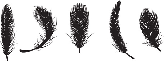 Download Eagle feather vector images free vector download (821 Free ...