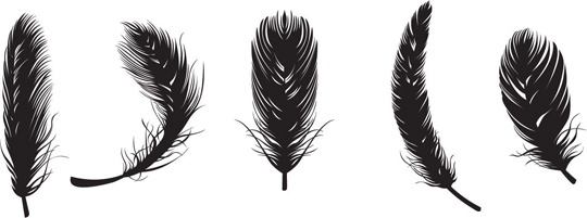 Free Feather Outline Svg Free