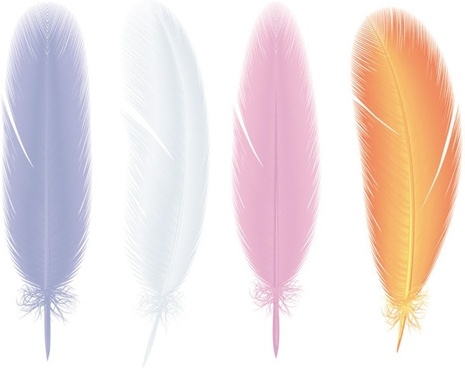 Bird feathers free vector download (3,699 Free vector) for commercial