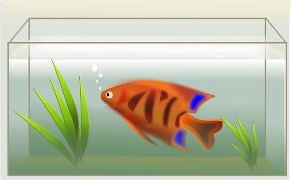Featured image of post Fish In Fishbowl Drawing Fish in fishbowl free icon