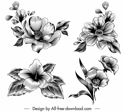 Free 128 Flower Sketch Svg SVG PNG EPS DXF File