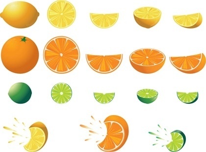 Download Vector Citrus Fruit Slice Clipart Free Vector Download 6 026 Free Vector For Commercial Use Format Ai Eps Cdr Svg Vector Illustration Graphic Art Design