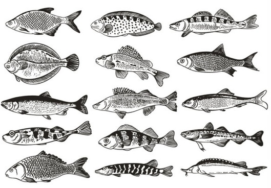 Download Vector Fish Silhouettes Free Vector Download 6 983 Free Vector For Commercial Use Format Ai Eps Cdr Svg Vector Illustration Graphic Art Design