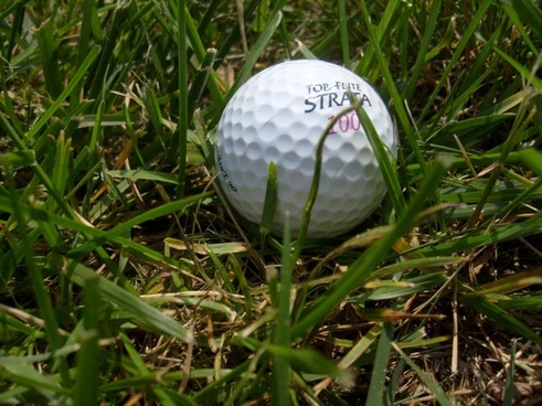 Golf ball tee Free stock photos in JPEG (.jpg) 3840x2880 format for ...