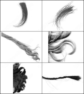 Pubic Hair Photoshop Brushes Download 21 Photoshop Brushes For Commercial Use Format Abr Sort By Popular First