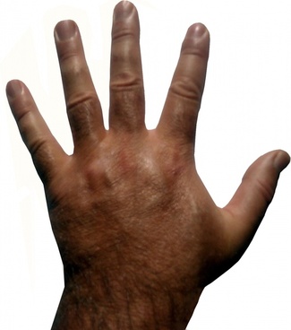 Jpeg hand images free stock photos download (67,679 Free stock photos