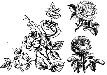 Download Hand drawing flowers free vector download (104,996 Free ...