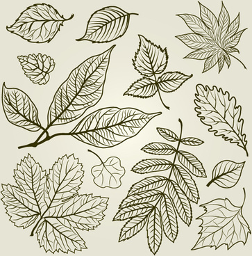 Download Hand Drawn Leaf Vector Free Vector Download 12 496 Free Vector For Commercial Use Format Ai Eps Cdr Svg Vector Illustration Graphic Art Design