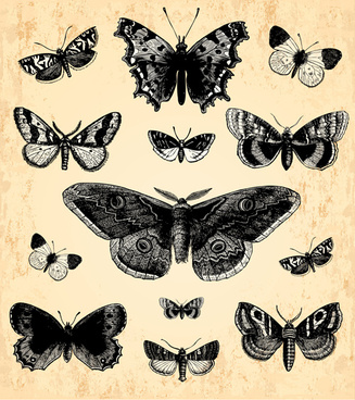 Download Vintage Butterfly Free Vector Download 13 236 Free Vector For Commercial Use Format Ai Eps Cdr Svg Vector Illustration Graphic Art Design