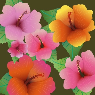 Hibiscus free vector download (58 Free vector) for commercial use